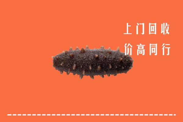 仁化县回收海参