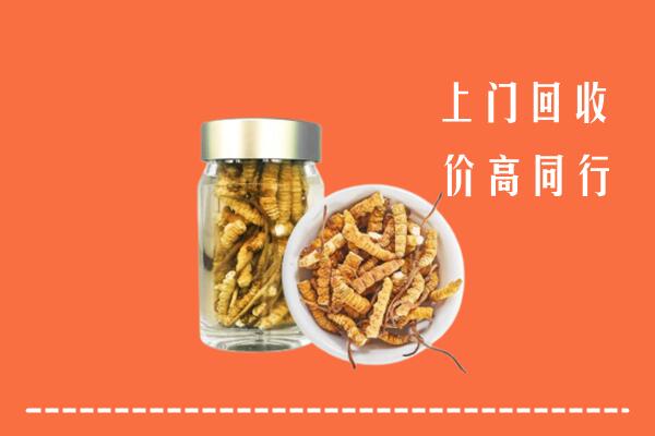 仁化县回收冬虫夏草